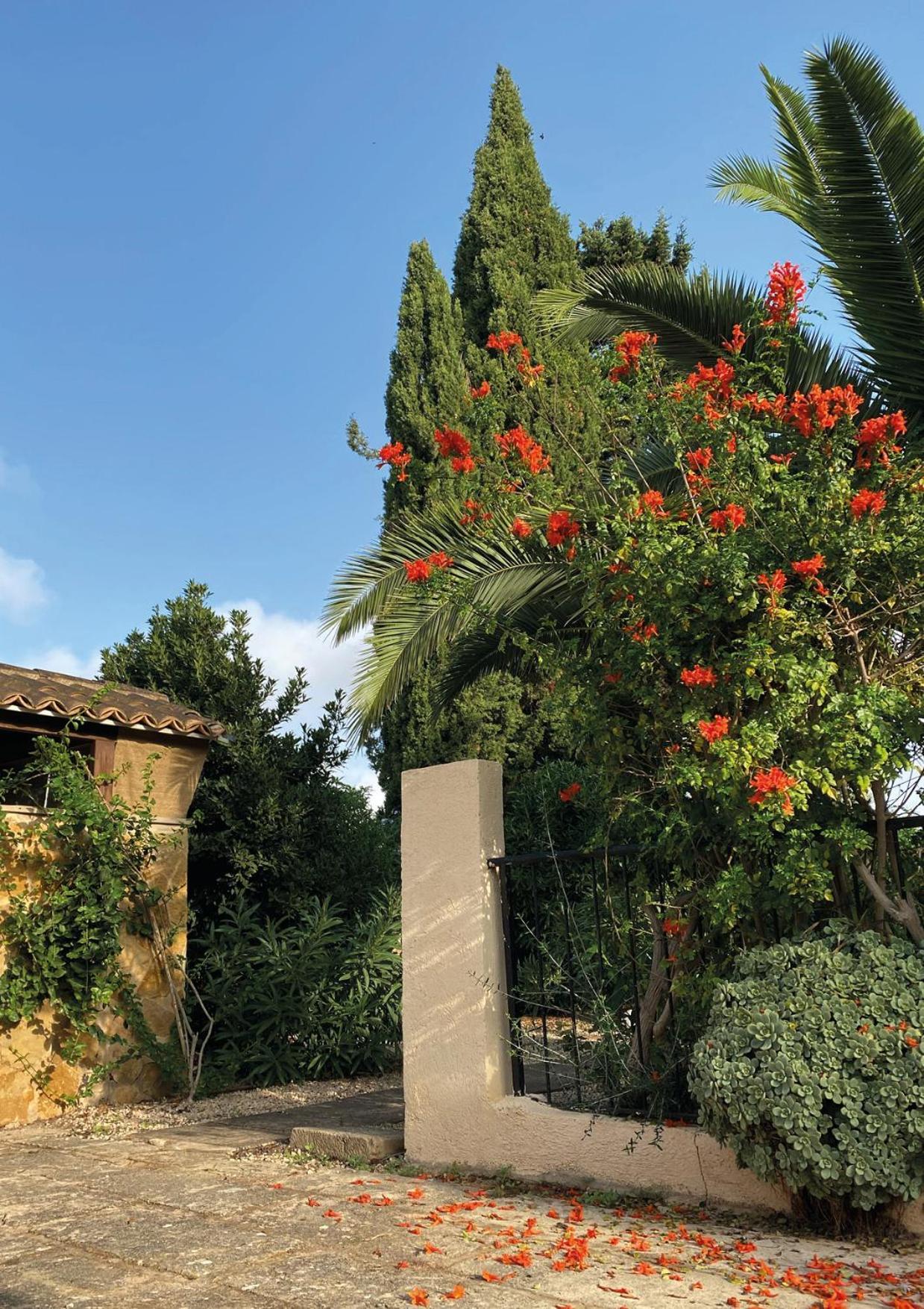 Finca Animas Llucmajor  Exterior foto